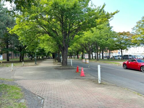 北海道大学 北13条門 (周辺)